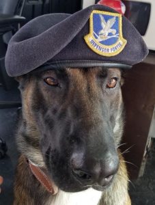 21ST SECURITY FORCES SQUADRON – MILITARY WORKING DOG UNIT, PETERSON AIR FORCE BASE