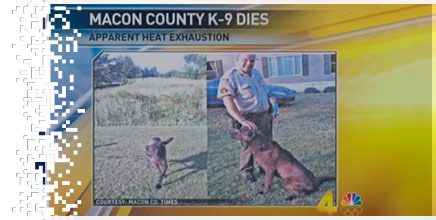 K9-HEAT-ALARM-4