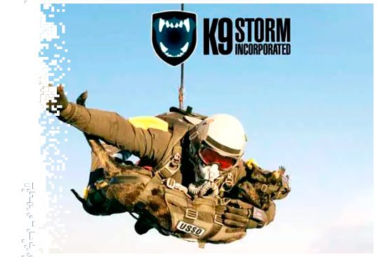 K9 Vests (Bullet/Stab) Military & Special Ops