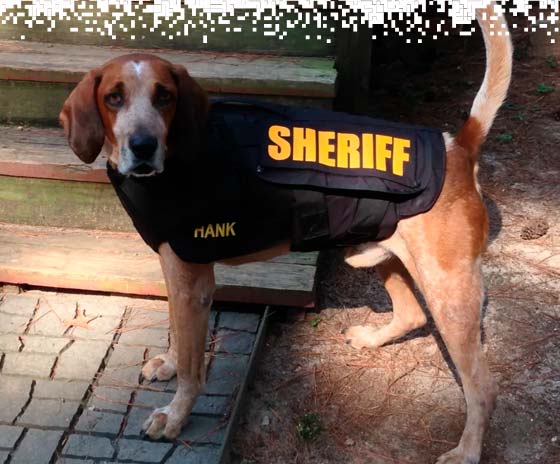 K9-VESTS-gallery-11