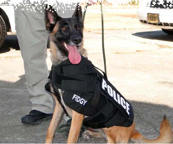 K9-VESTS-gallery-14