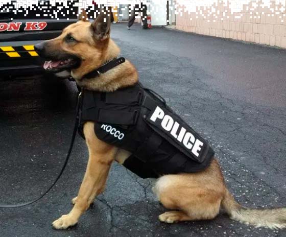 K9-VESTS-gallery-2