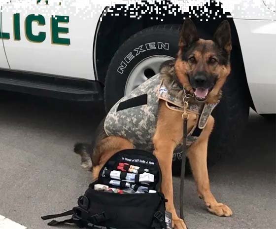 K9-VESTS-gallery-3