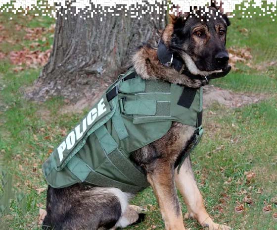 K9-VESTS-gallery-5