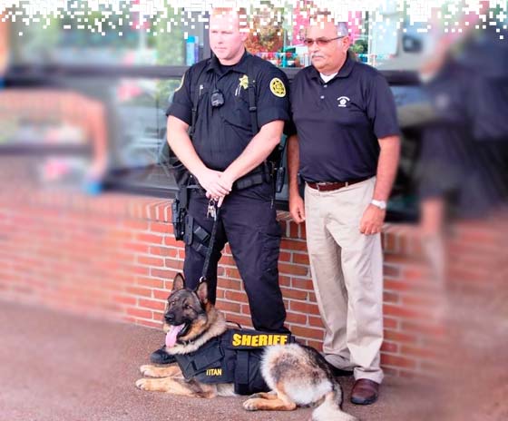 K9-VESTS-gallery-8