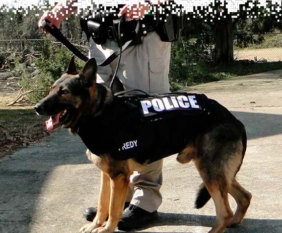 K9-VESTS-gallery-9