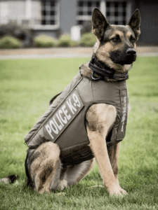 K9 Jedi - stabbed in the line of duty